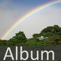Album Wald <!--hidden-->
